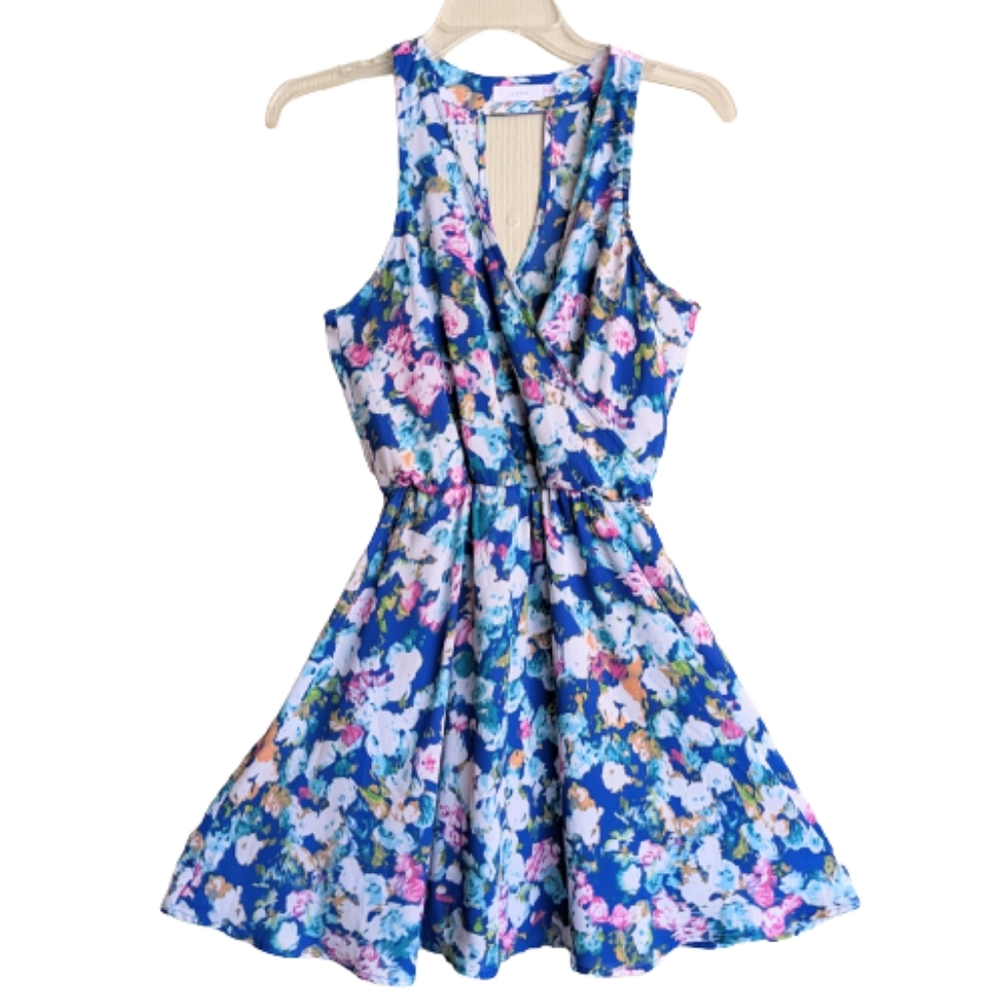 Lush Skater Dress Floral Blue Pink Sleeveless V-neck Flirty Size XS
